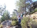 2014-07-03 10-22-44 Rando foret de Nemours DLe